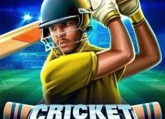 cricket heroes way slot